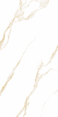 ELITE CARRARA GOLD 60X120